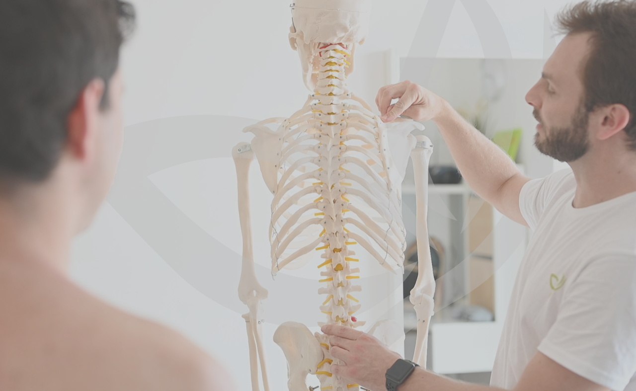 tzst-physio_header https://therapiezentrum-steyregg.at/wp-content/uploads/2024/01/tzst-physio_header.png